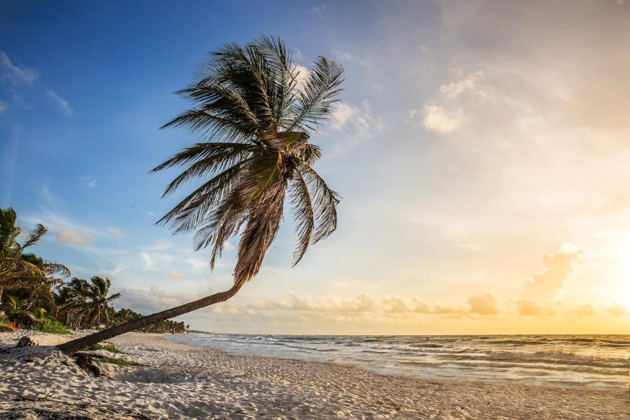 Hidden Treehouse Tulum Eco-Hotel Dış mekan fotoğraf