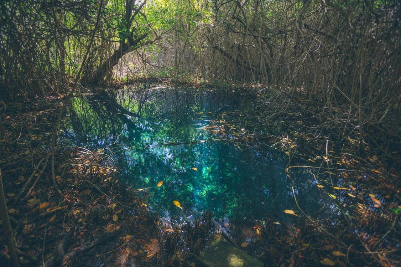 Hidden Treehouse Tulum Eco-Hotel Dış mekan fotoğraf
