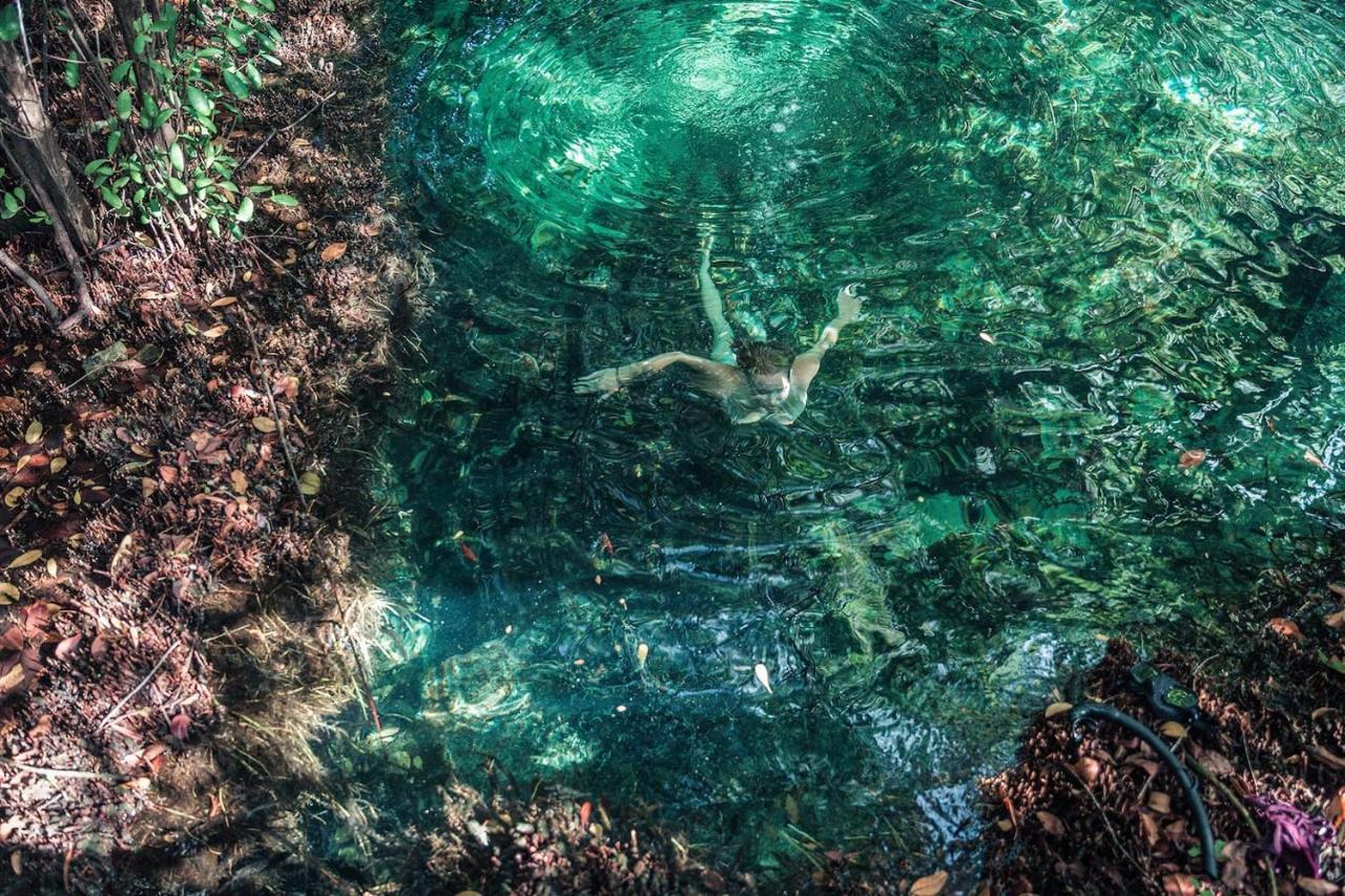 Hidden Treehouse Tulum Eco-Hotel Dış mekan fotoğraf